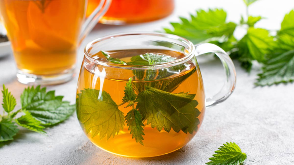 Where Can I Find Nettle Tea? A Simple Guide to Finding This Healthy Drink